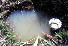 wodc-page pics-water-1 wodc-page pics-water-1